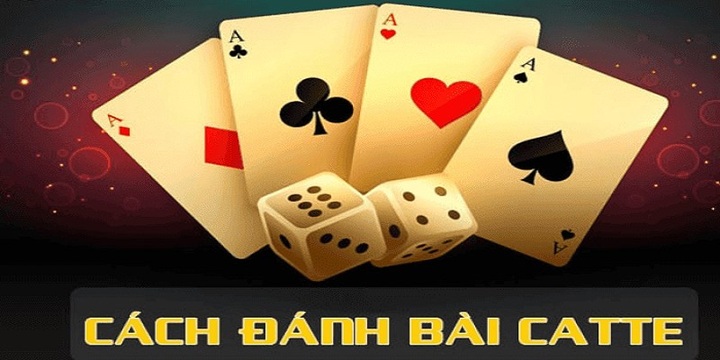 Tìm hiểu cách chơi Catte đổi thưởng trực tuyến