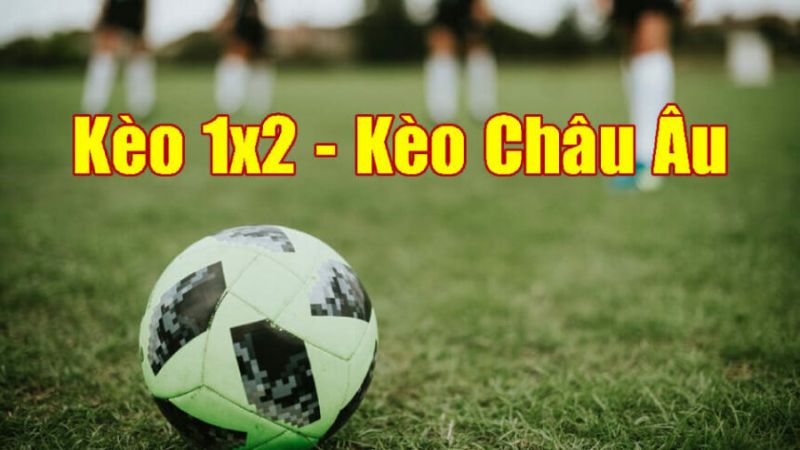 Các loại Tỷ lệ kèo nhà cái hôm nay phổ biến